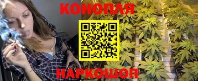 гидра Партизанск