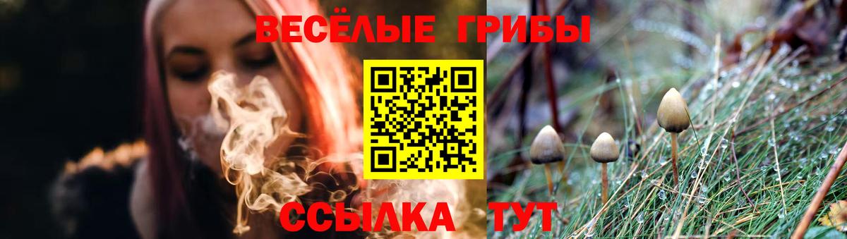 Галлюциногенные грибы прущие грибы Семилуки